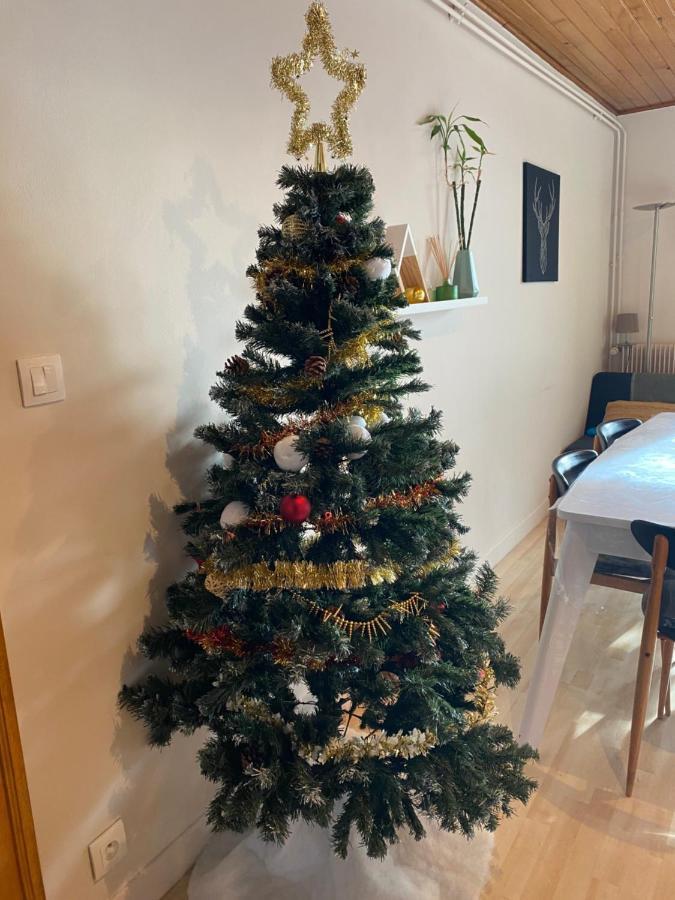 Tres Bel Appartement T3 De 62M2 8 Personnes Font Romeu Eksteriør bilde